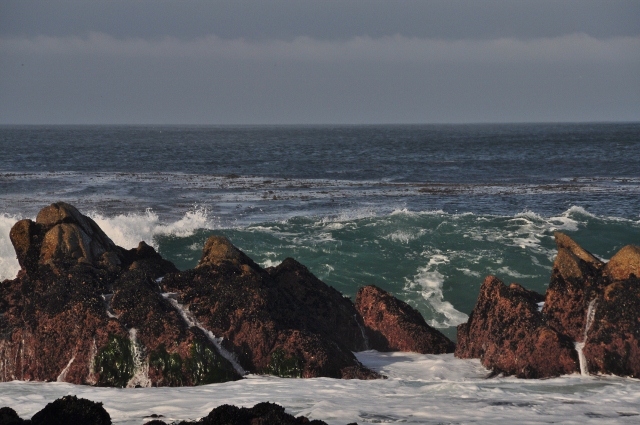 Pacific Grove
